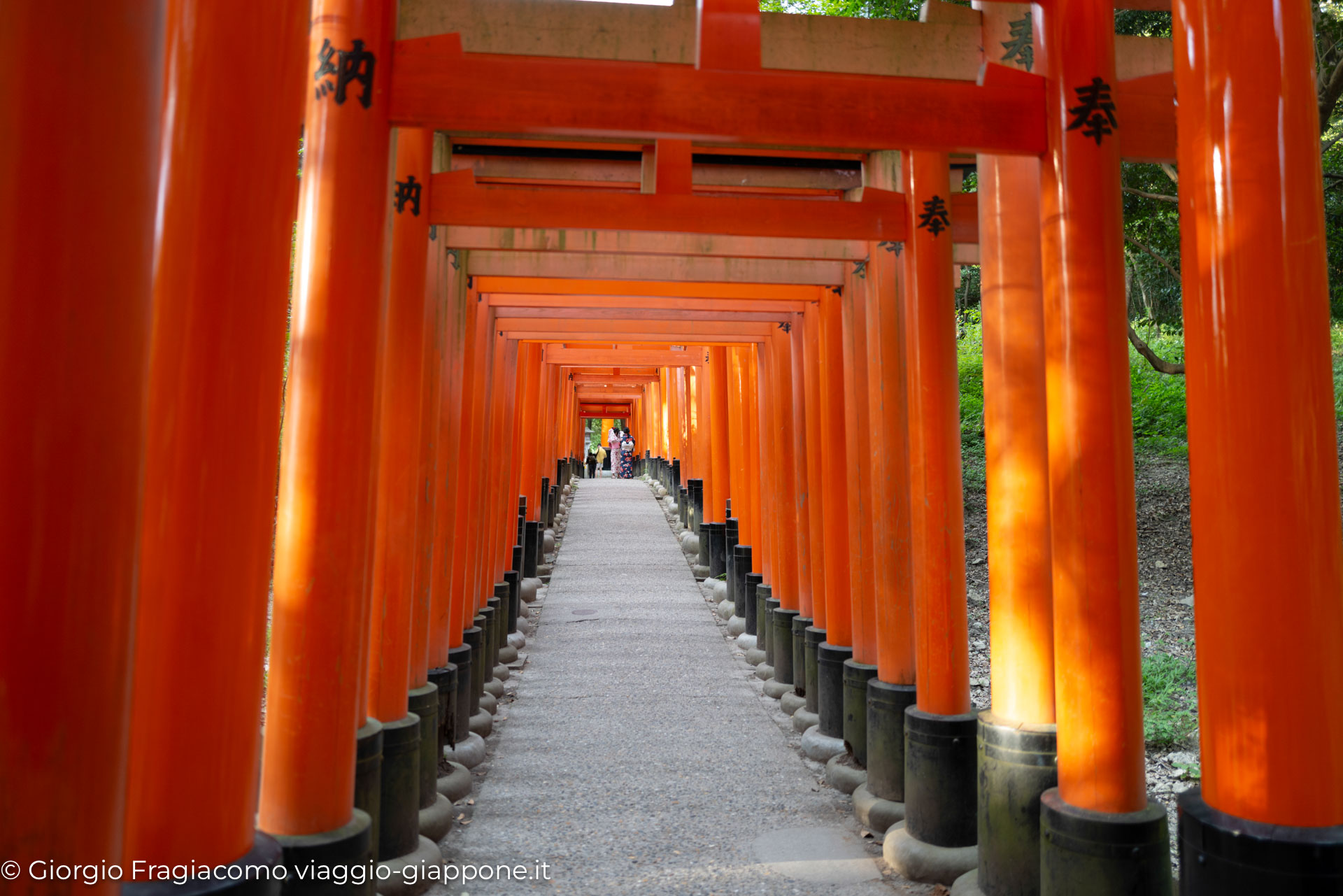 Fushimi Inari in Kyoto con la Mamma 1060689