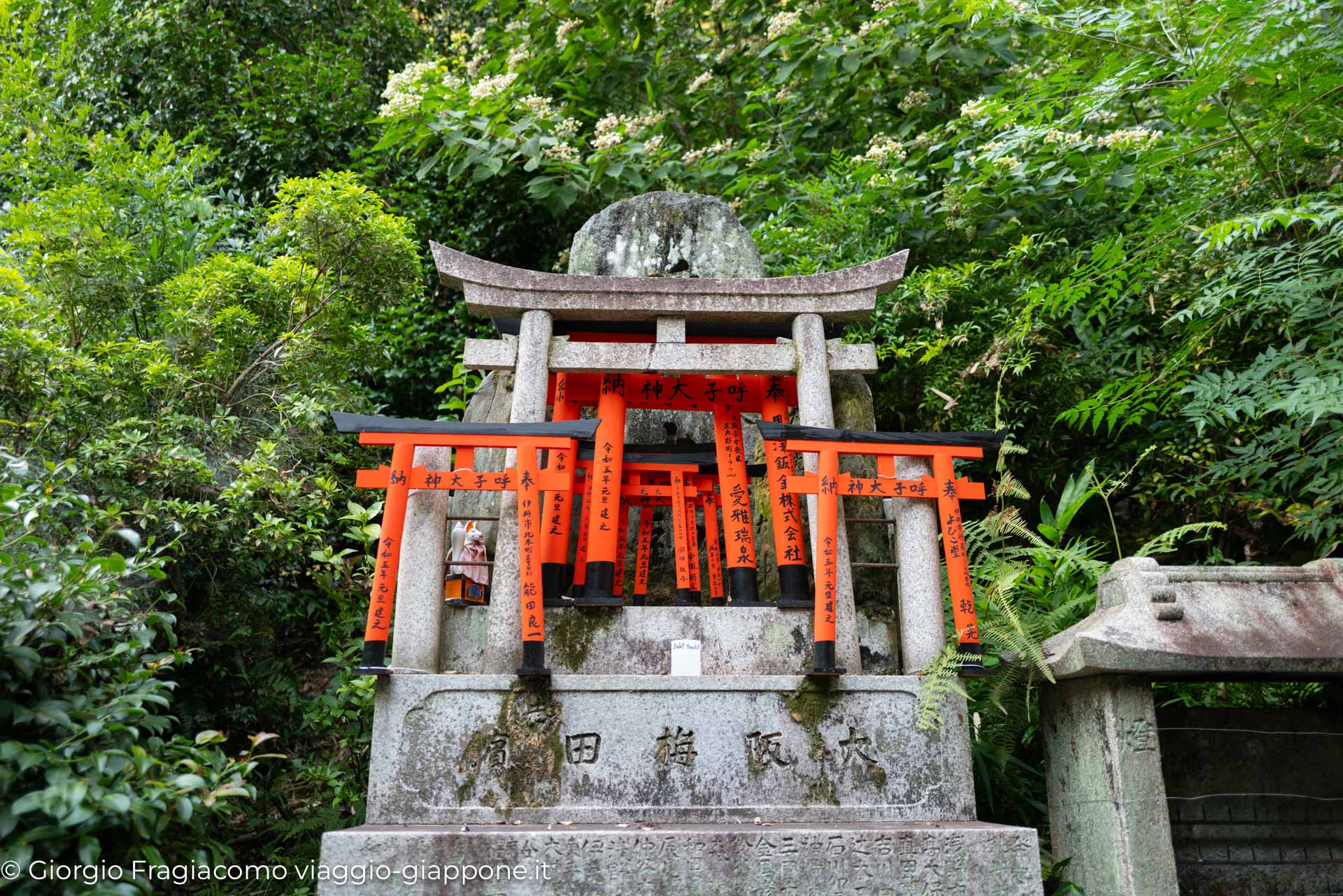 Fushimi Inari in Kyoto con la Mamma 1060702