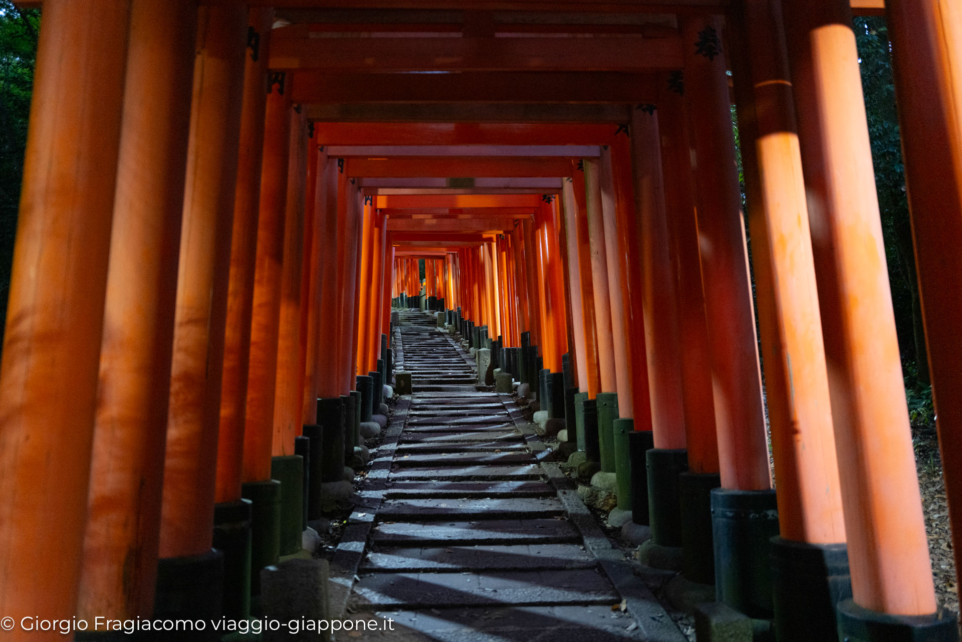 Fushimi Inari in Kyoto con la Mamma 1060744