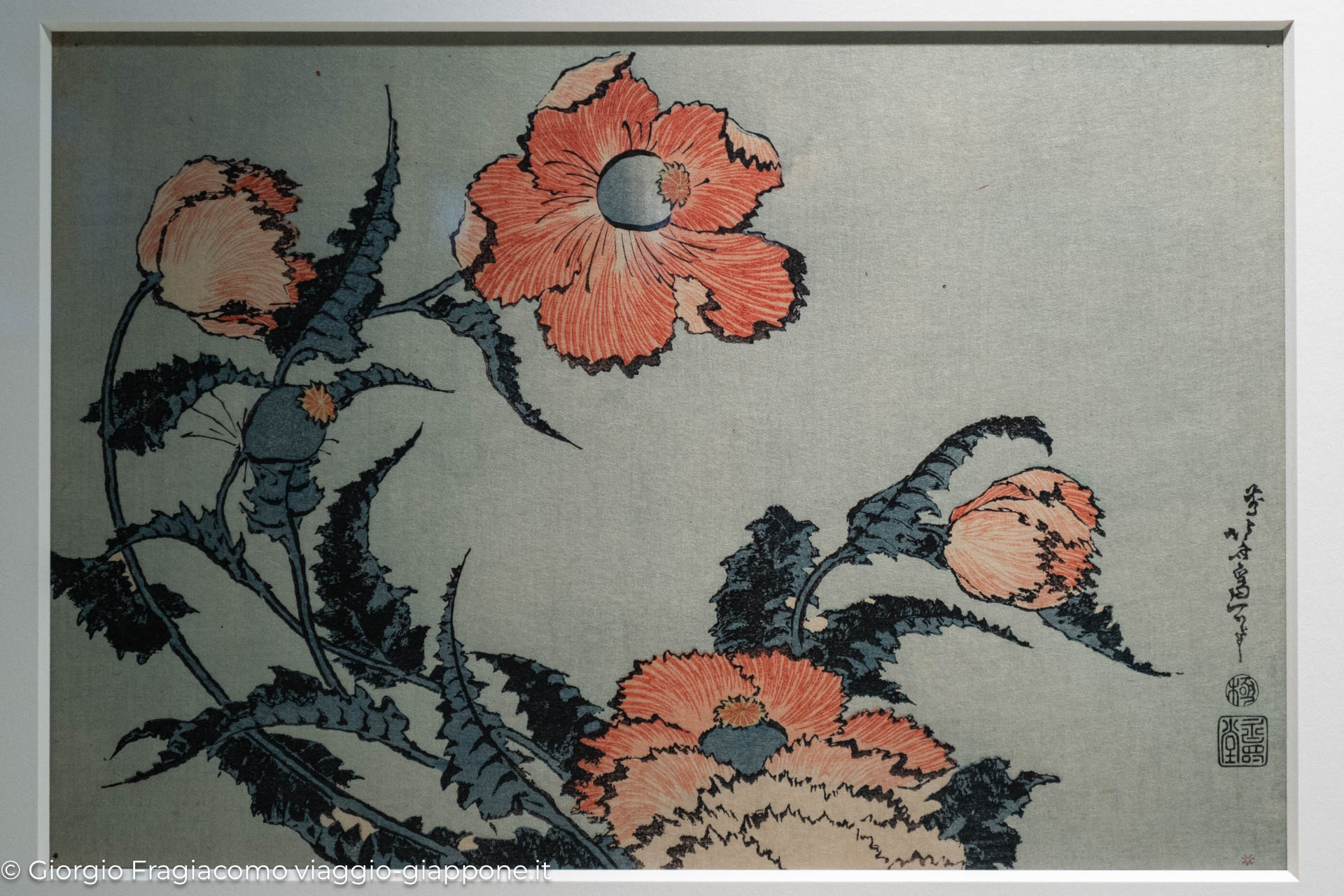 Hokusai Museum Tokyo 1062289