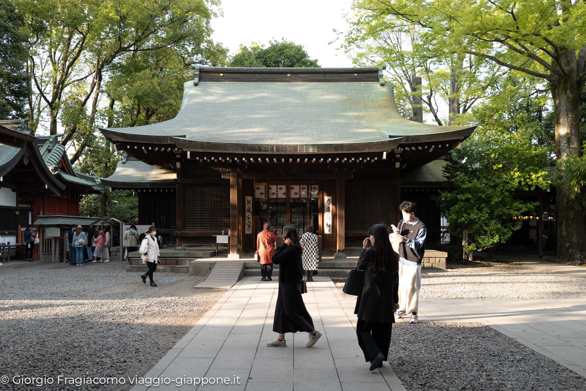 Kawagoe and sakura with koharu 1070329