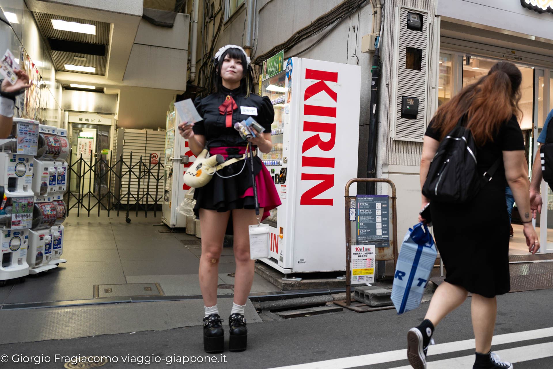 Maid Girls Akihabara 1130113