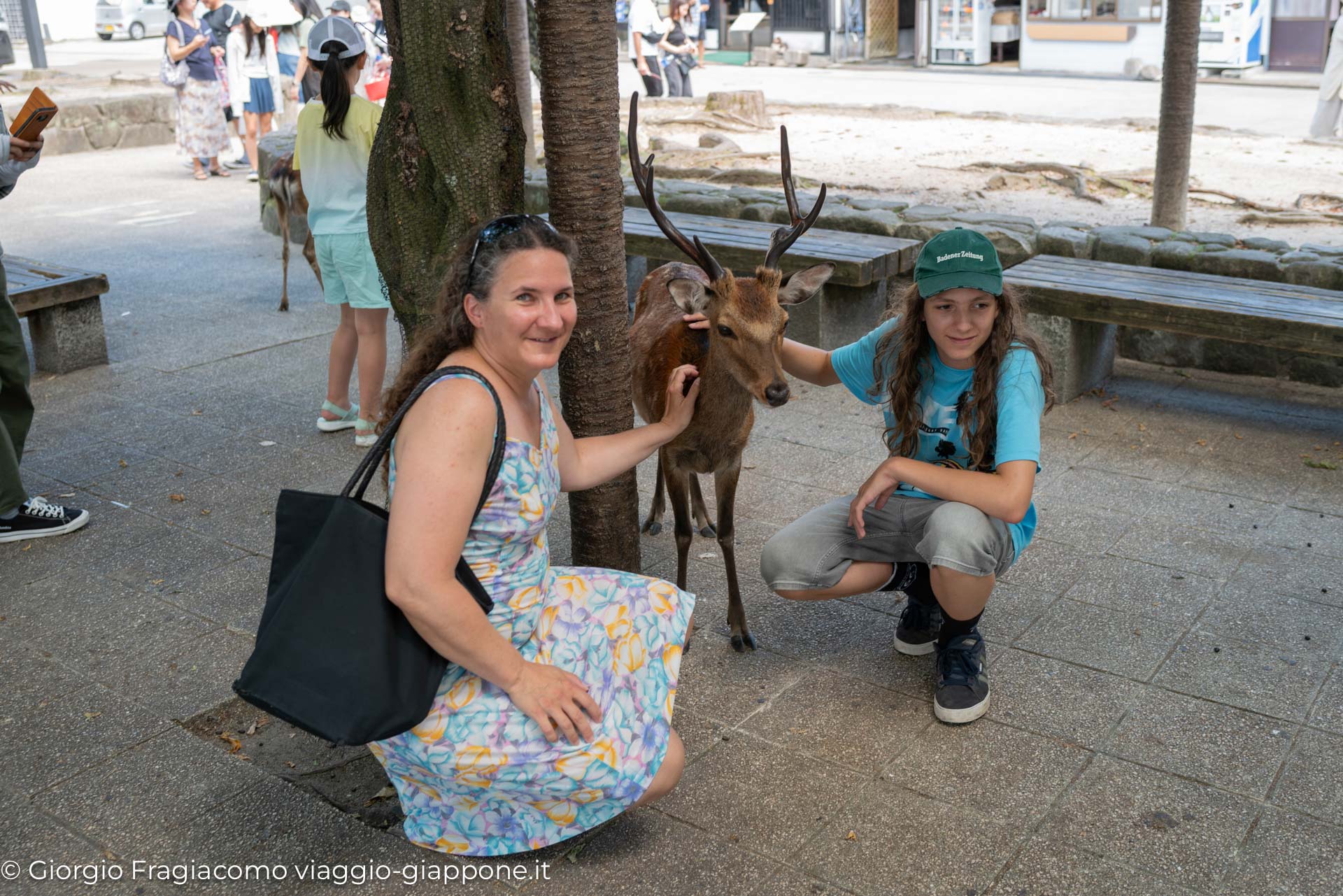 Miyajima Island Hiroshima Con la Mamma 1080192