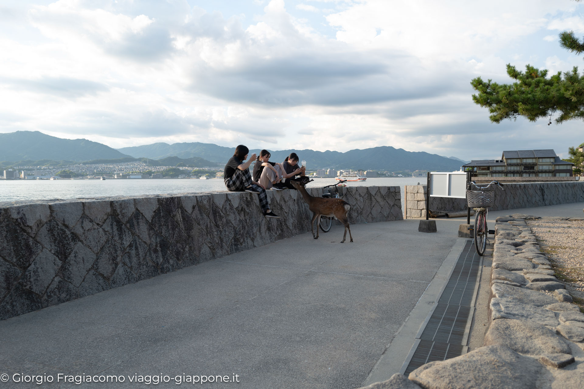 Miyajima Island Hiroshima Con la Mamma 1080340