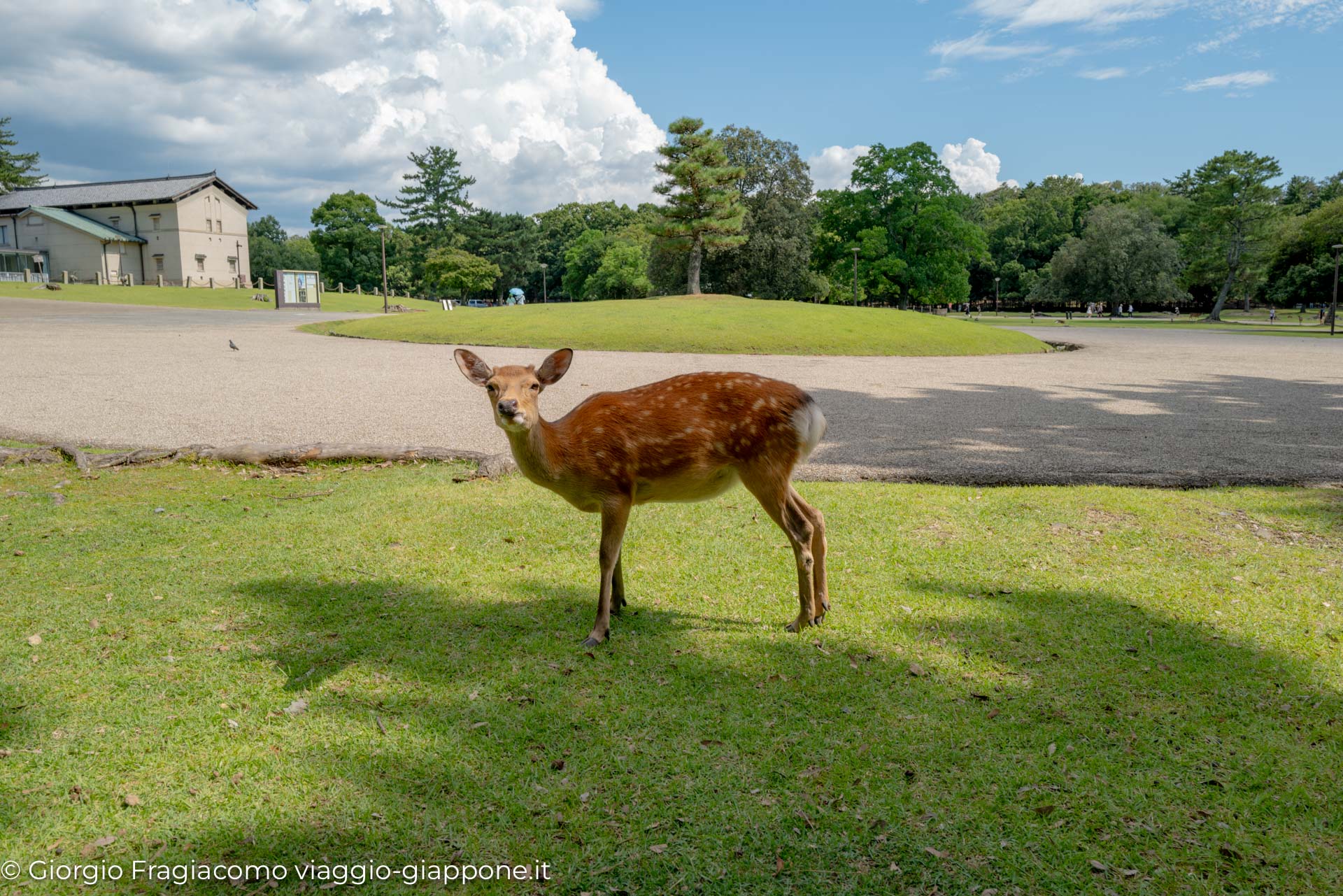 Nara con la Mamma 1070415