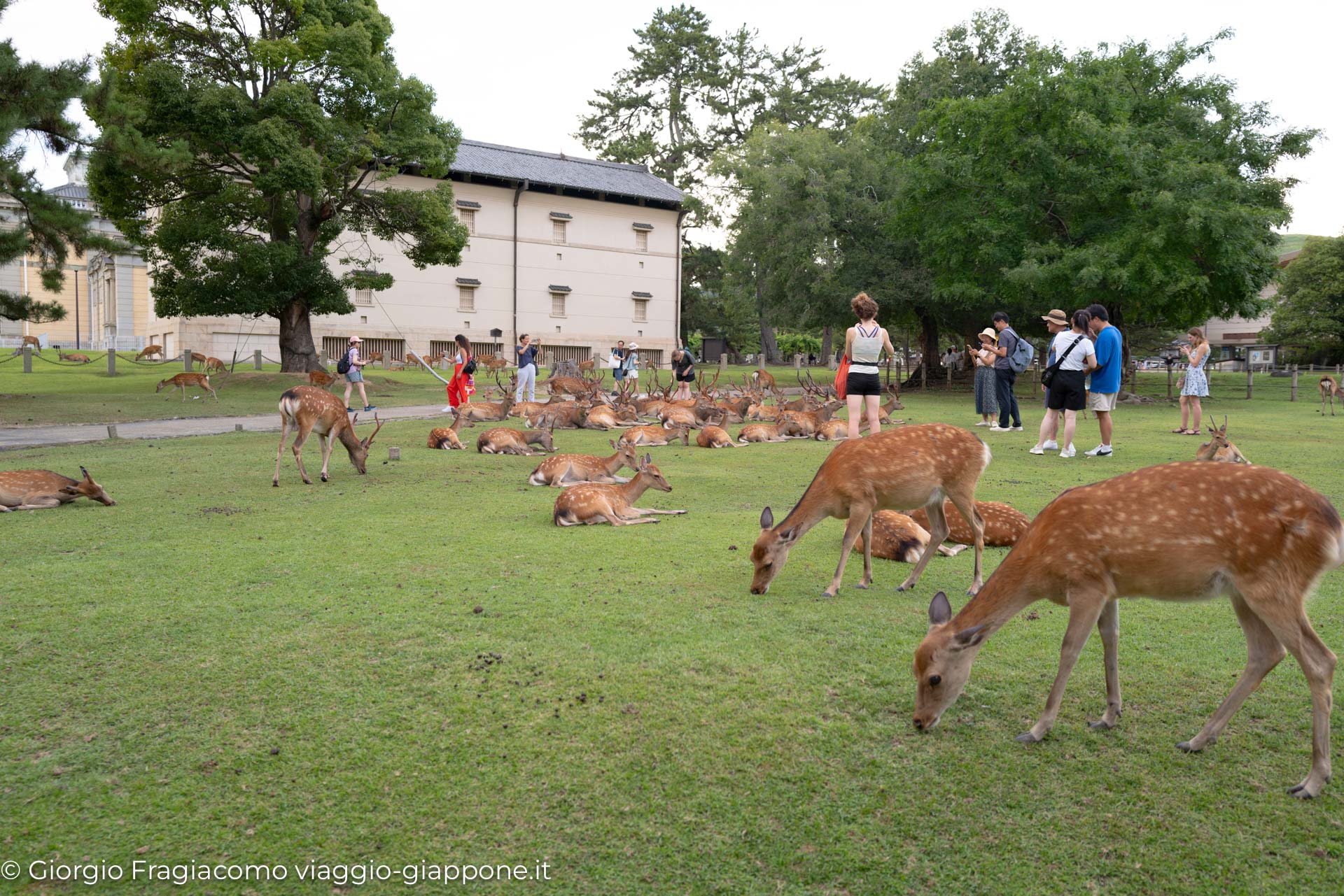 Nara con la Mamma 1070629