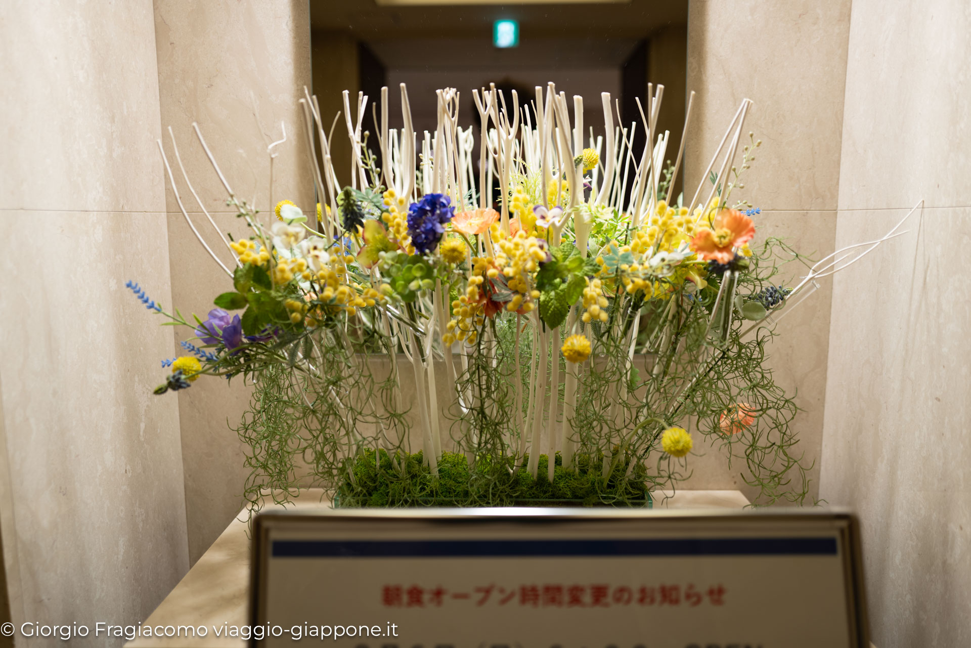 Oriental Hotel Hiroshima Con la Mamma 1080142