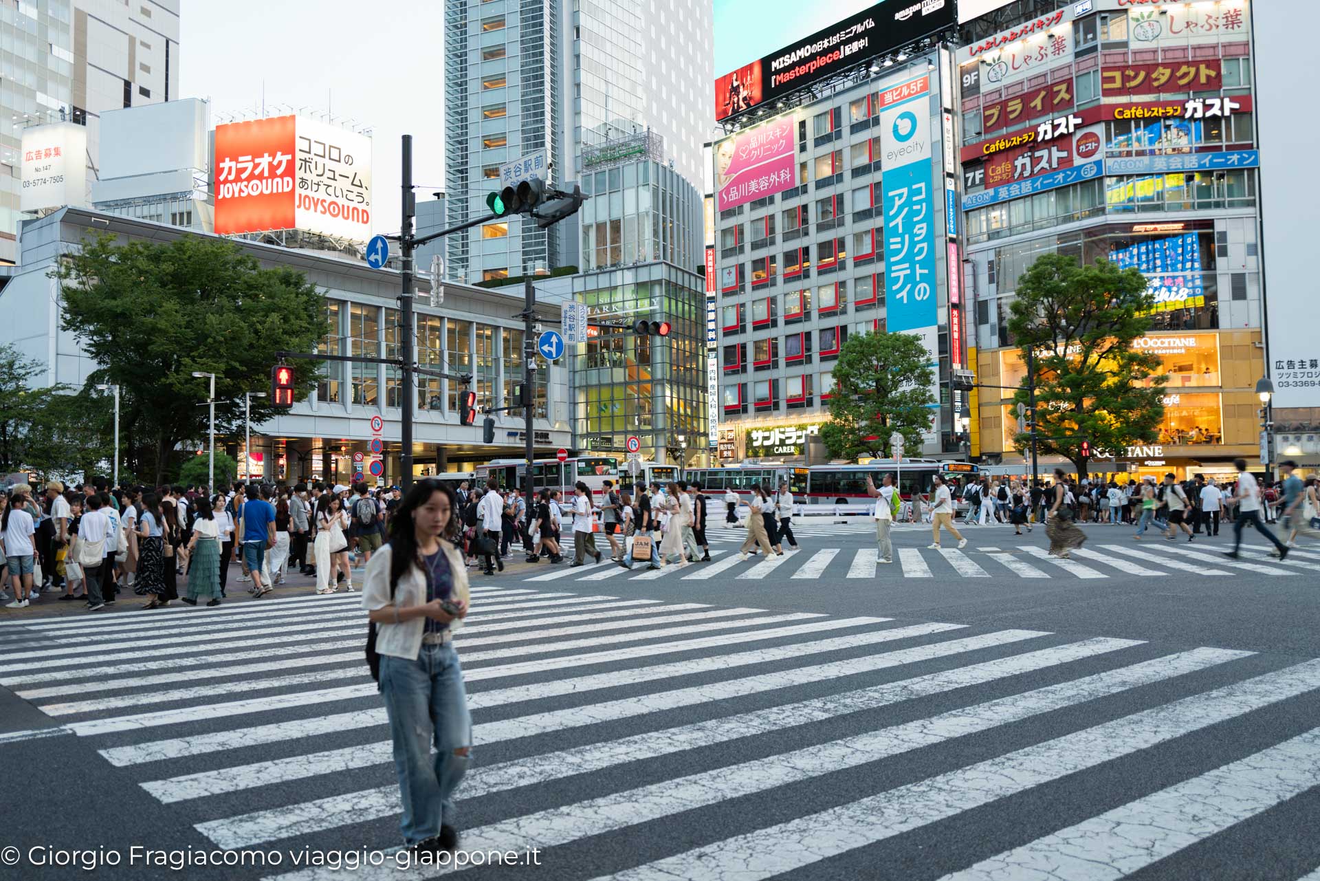 Shibuya Hachiko Crossing con la Mamma 1050639