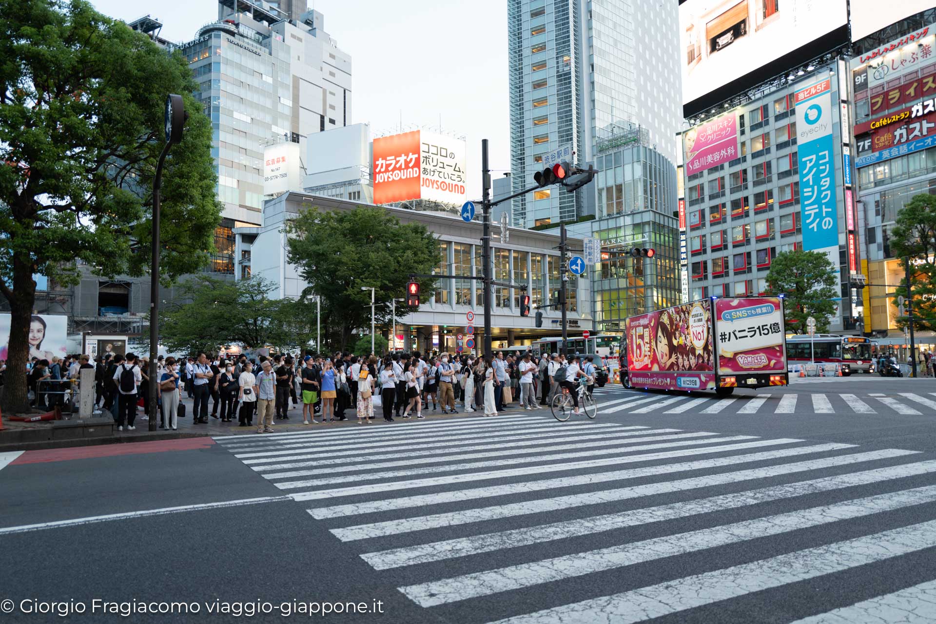 Shibuya Hachiko Crossing con la Mamma 1050643