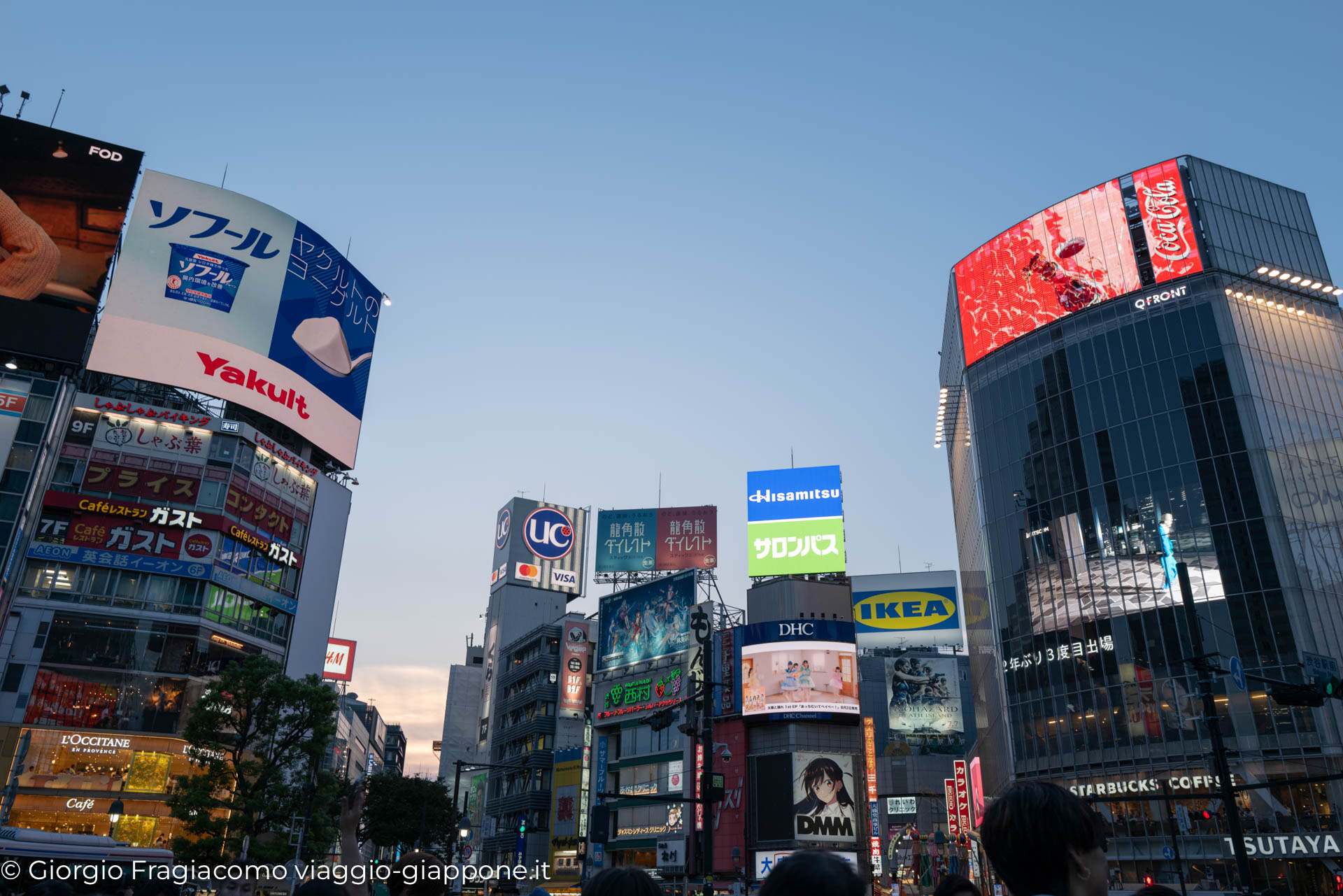 Shibuya Hachiko Crossing con la Mamma 1050648