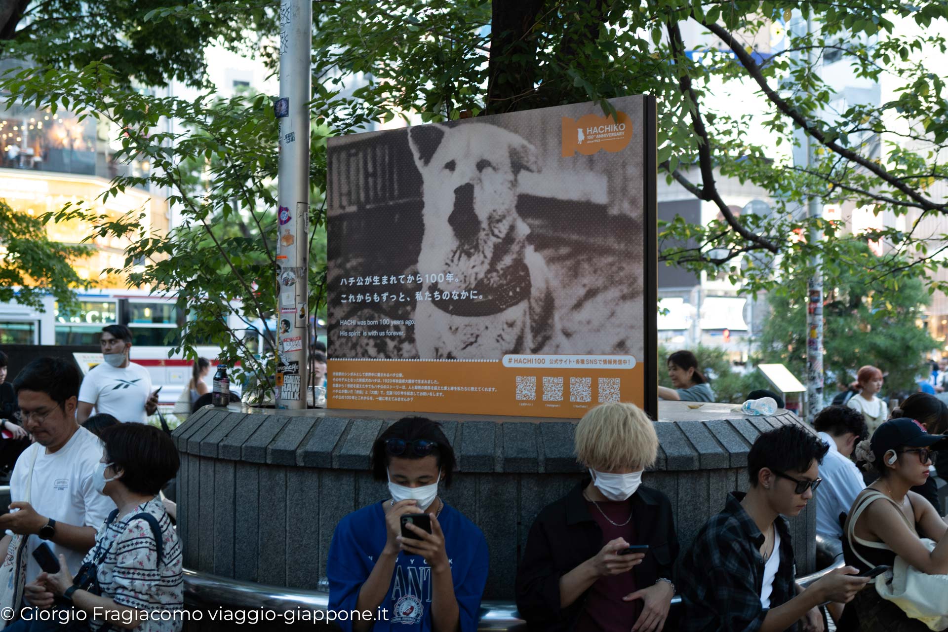 Shibuya Hachiko Crossing con la Mamma 1050655