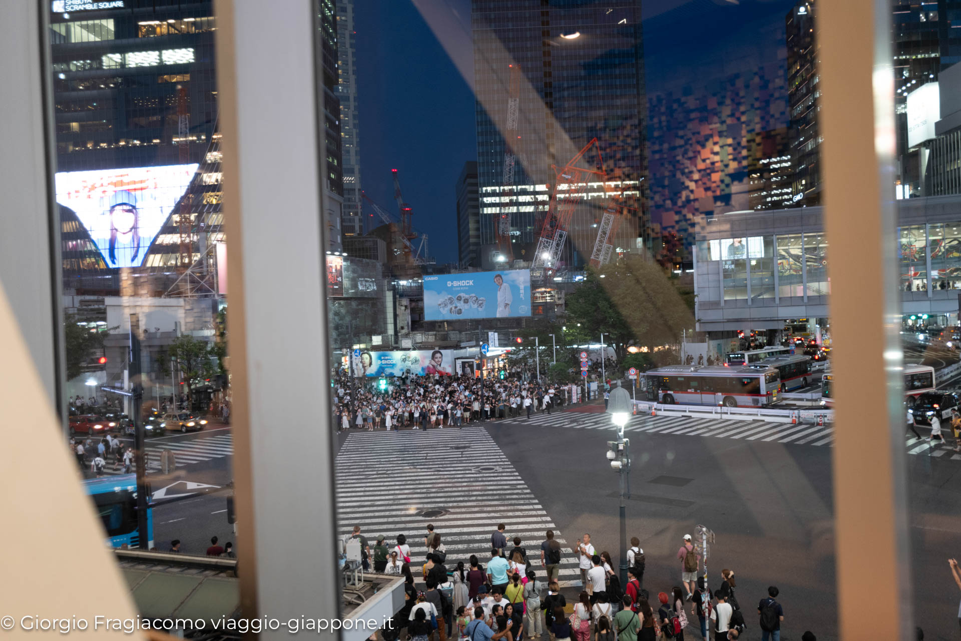 Shibuya Hachiko Crossing con la Mamma 1050669