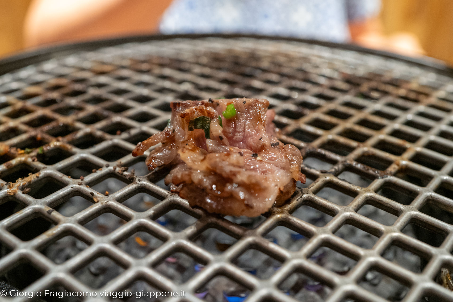 Yakiniku in Kyoto con la Mamma 1070320