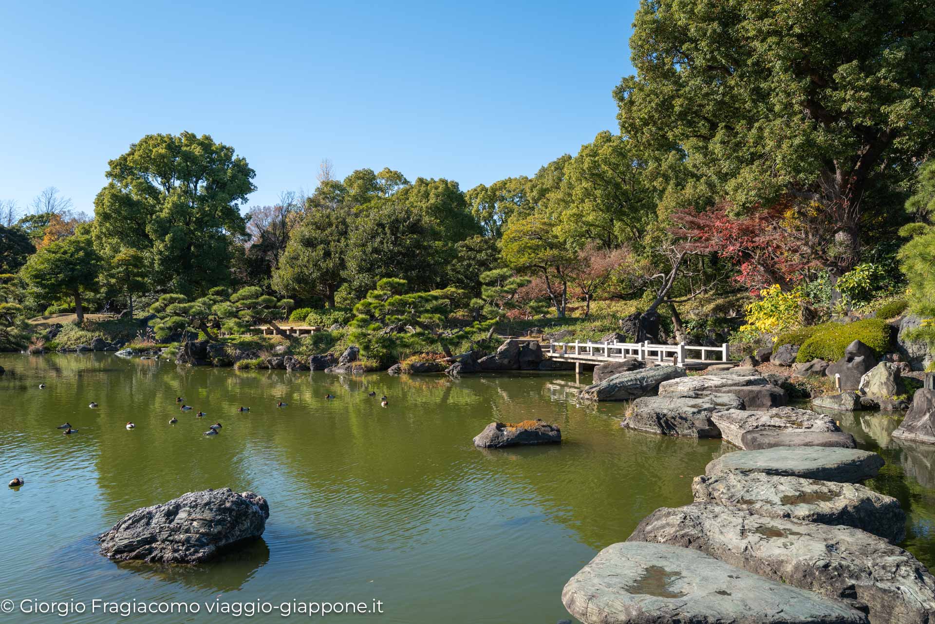 Kiyosumi Gardens