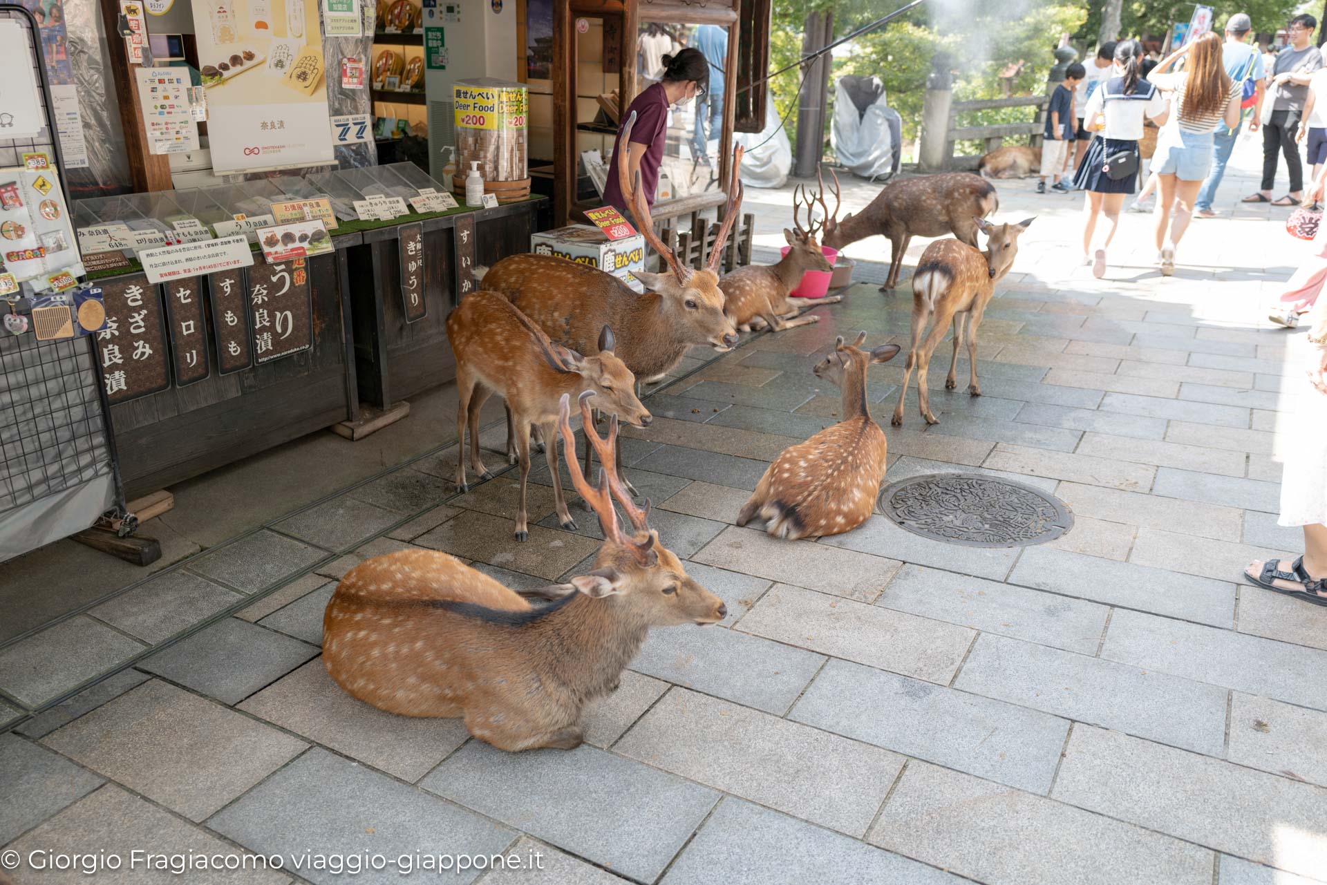 Nara con la mamma in un momento di gioia e affetto familiare.